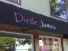 dietle-james-awning